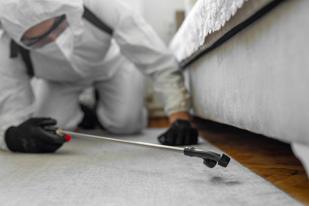 Professional Emergency Pest Control technician working in Shongopovi, AZ